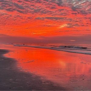 Meet your Posher, Ava